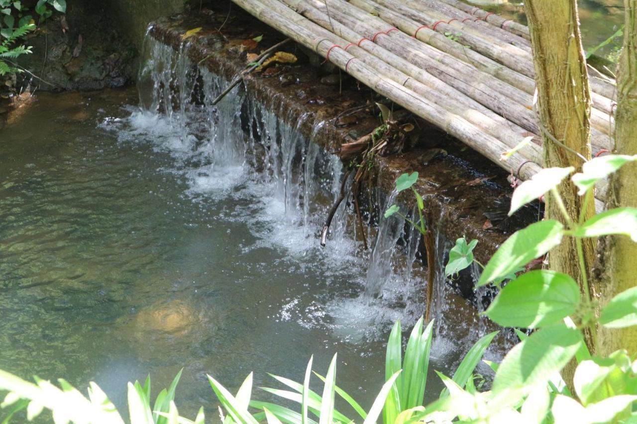 Baan Rai Me Rak Organic Farmstay Pa Khlok Exterior photo